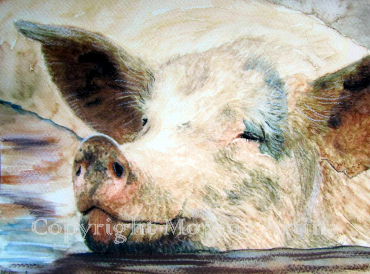 "Pig in Muck" Print - Canvas / Print / Poster various sizes, from original painting