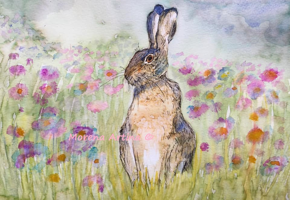 "Cornflower Hare" Print - Canvas / Print / Poster various sizes, from original painting